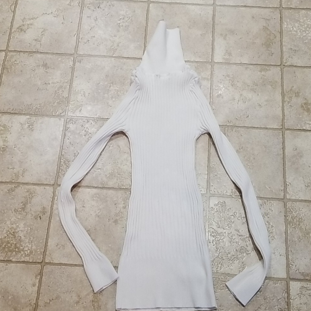 Body Central Turtleneck